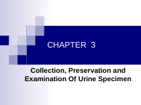 Chapter-3 Urinalysis and Renal Function Test (2).ppt